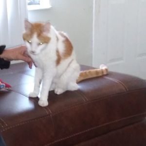 Meet your Posher, Patricia